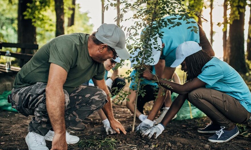 persone che piantano albero